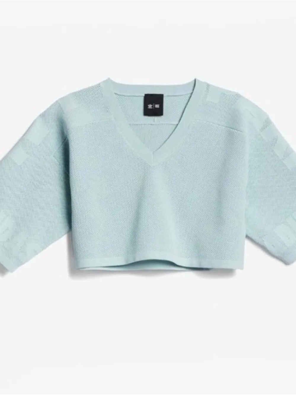 IVY PARK a colab with Adidas x Beyoncé Light Green Cropped V-Neck top. Size 4X